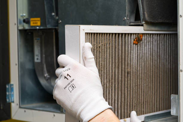 Best Ventilation Cleaning Services  in Pine Lawn, MO