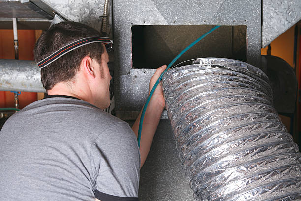 Best Air Duct Mold Removal  in Pine Lawn, MO